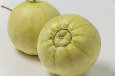Melonの写真素材
