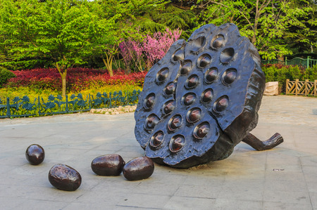 Lotus sculptureのeditorial素材