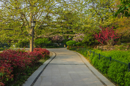 Trail in the parkの写真素材