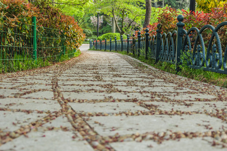 Stone pathの写真素材