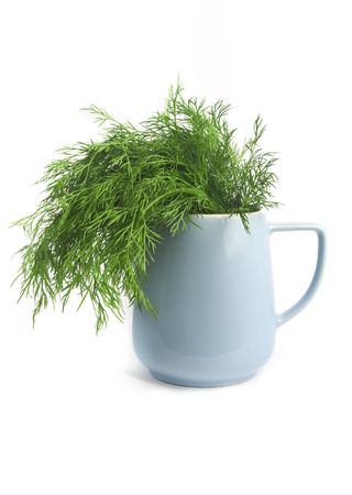 dill herb in a blue jug isolated on white background の写真素材
