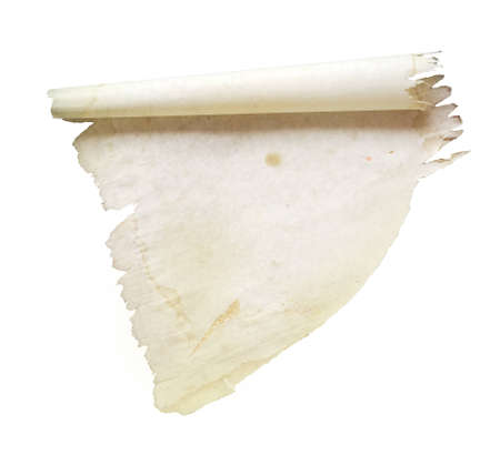 piece of torn paper, isolated, free copy spaceの写真素材