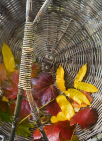 autumn leaves in a weathered basket selective focusの写真素材