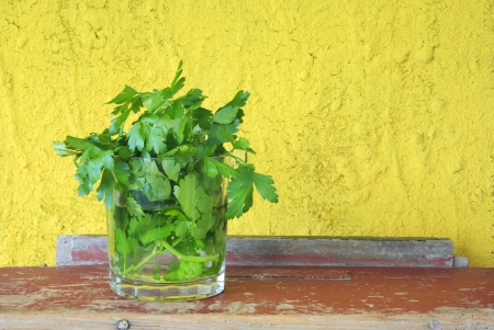 italian parsely in a glass の写真素材