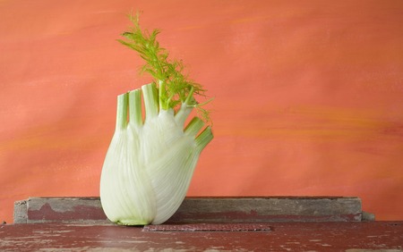 fresh fennel on red background, free copy spaceの写真素材
