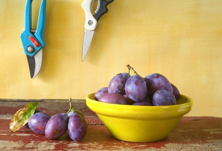 fresh plums in a bowl, free copy spaceの写真素材