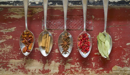 Various spices on silver spoons, free copy space