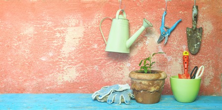 gardening in the springtime, young plant,garden tools, good copy spaceの写真素材
