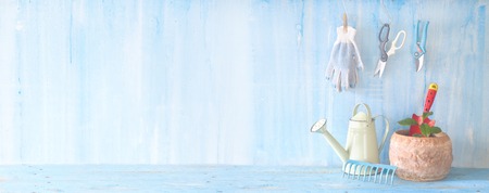 Gardening tools and flower seedling. Panorama format, good copy space.の写真素材