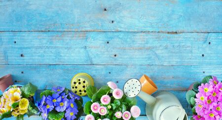 flowers in the springtime with gardening tools and flower pots, flat lay mock up with large copy...