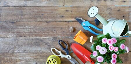 flowers and gardening tools and flower pots, springtime,gardening flat lay mock up with large copy...