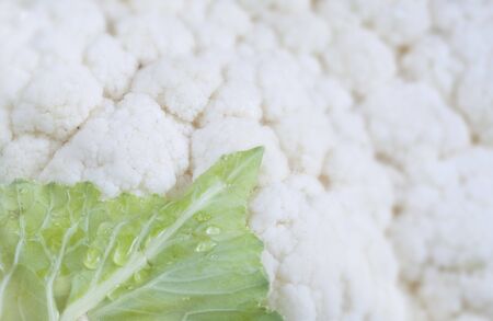 cauliflower, close up shot with selective focus, healthy eating,vegetarian,organic foodの写真素材