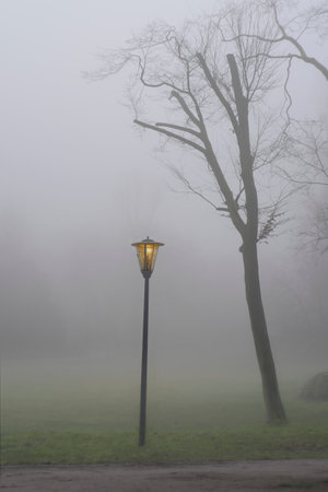 Park in the fog, trees and lantern with yellow light, autumn, winter, season and weather concept