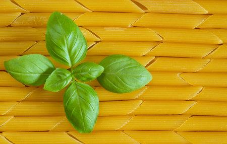 italian pasta named penne rigate and basil, close up, italian food and restaurant conceptの写真素材