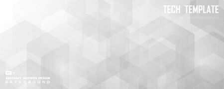 Abstract wide white and gray hexagonal technology design of decoration background.のイラスト素材