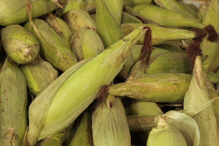 Sweet corn in the market, closeup of photo with selective focusの写真素材