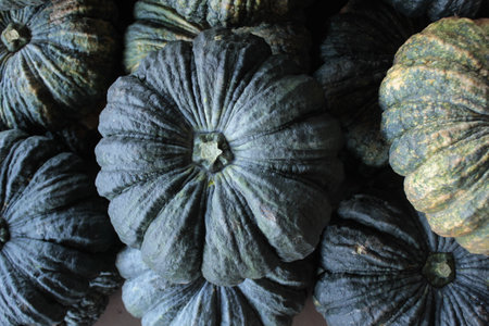 Pumpkin, Cucurbita maxima, in the marketの写真素材