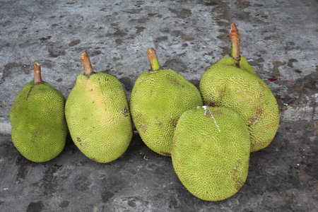 Jackfruit on the market in Thailand, South East Asia, Asiaの写真素材