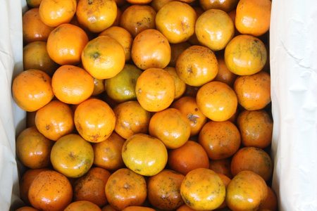 Tangerines in the market, close up of fruit background.の写真素材
