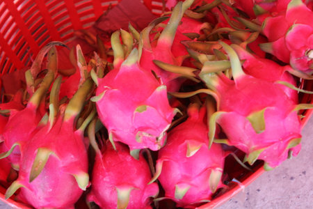 Dragon fruit in the market, Thailand.の写真素材