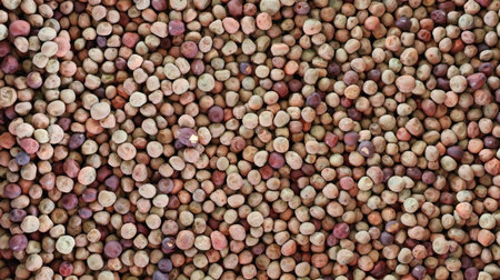 Coffee beans background. Coffee beans background. Coffee beans textureの写真素材