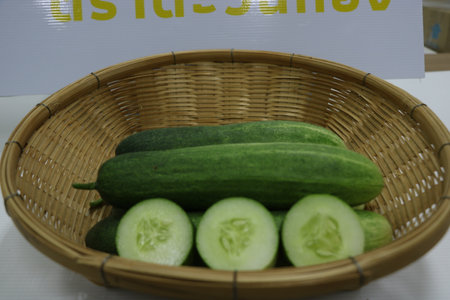 Cucumber in a wicker basket on a white background.の写真素材