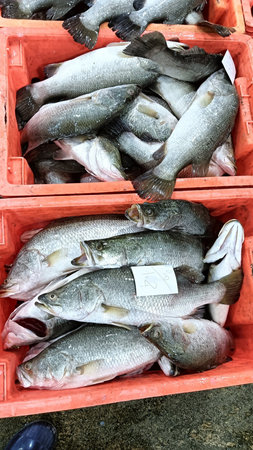 Fresh fish in a plastic box for sale at a market stall.