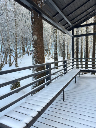 Wooden deck in the forest covered with snow. Winter landscape.の写真素材