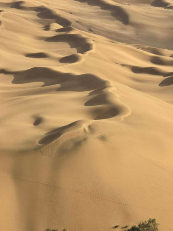 Sand dunes in the desert of Dubai, United Arab Emirates.の写真素材