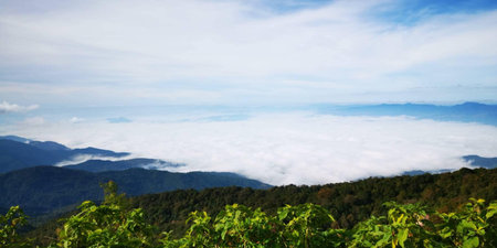 Landscape view of mountain and fog at Phu Chi Fa, Chiang Rai, Thailand