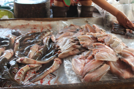 Fresh fish on ice at the market in the city of Bangkok in Thailand in Southeastasia.の写真素材