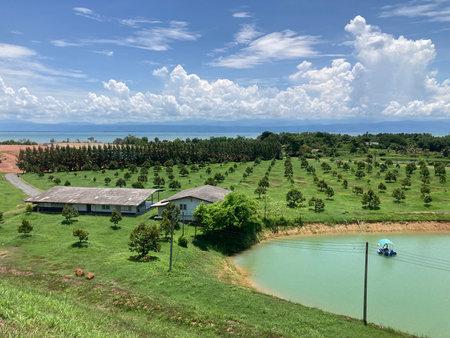 Beautiful landscape view of a farm in the north of Thailand.の写真素材
