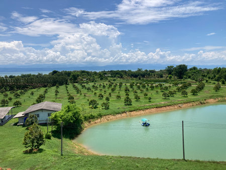 View of the rice terraces in Kampong Phetchabun, Thailand.の写真素材