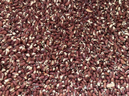 Close up of dried red beans background. Healthy food and nutrition concept.