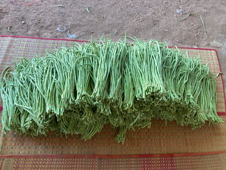 Green beans in the market, north china, closeup of photo