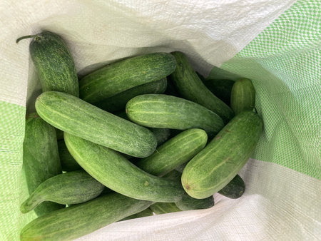 Cucumbers in a bag on a background of green fabric.の写真素材