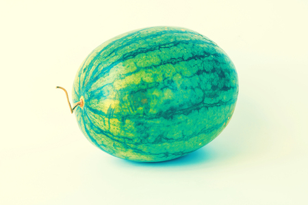watermelon on white backgroundの写真素材
