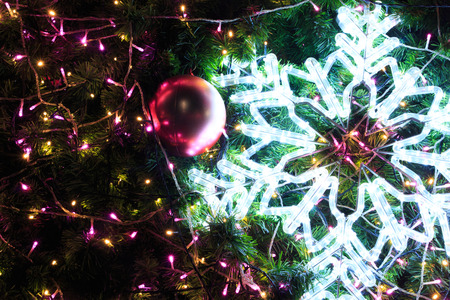 Beautiful Christmas tree in night on chrismas dayの写真素材