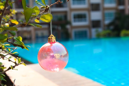 Christmas baubles on chrismas tree on  tree,near at poolの写真素材