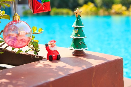 Decorated Christmas on  tree on  tree,near at poolの写真素材