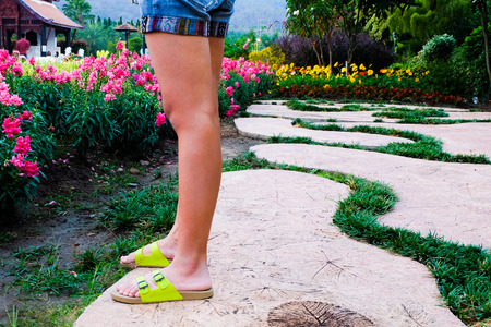 Woman taking a photo of flower in Garden