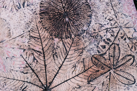 Grey Stone walkway in  Gardenの写真素材