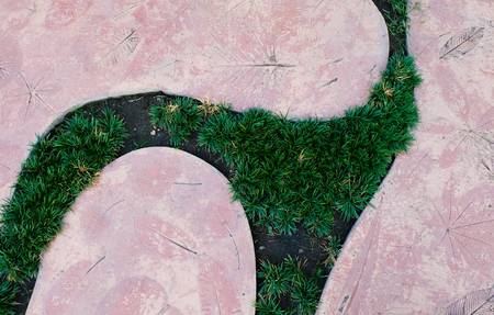 Stone walkway in the grass, Flower Gardenの写真素材