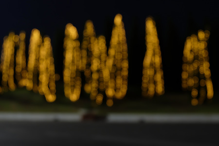 Christmas lights hanging on a tree in Garden,blurred defocused background