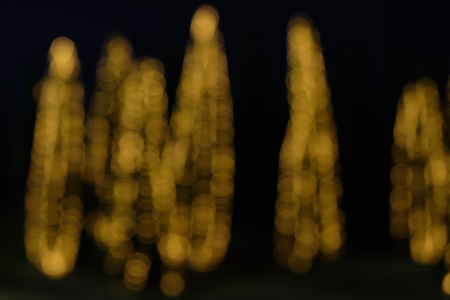 Christmas lights hanging on a tree in Garden,blurred defocused backgroundの写真素材