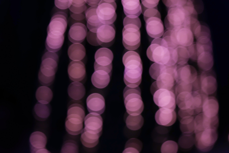 Christmas lights hanging on a tree in Garden,blurred defocused backgroundの写真素材