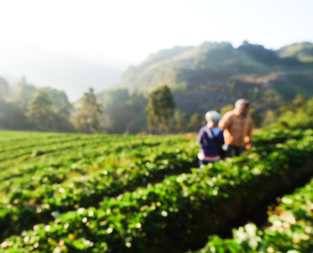 Blurred Couple in strawberry farmの写真素材