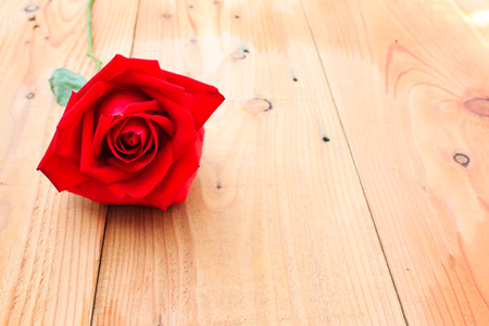 red rose on wood table,Valentine dayの写真素材