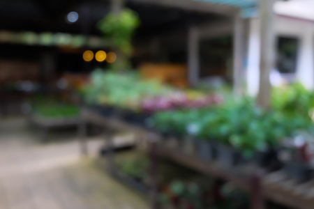 Blurred plant in greenhouse in summerの写真素材
