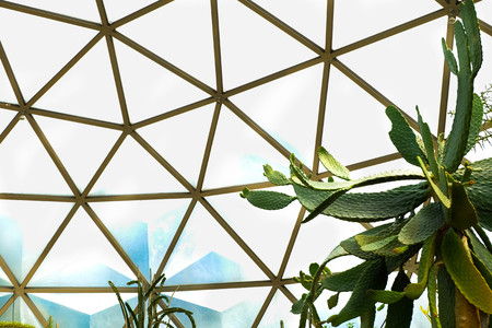 Cactus in garden ,SUANLUANG RAMA IX,Bangkok,Thailandの写真素材